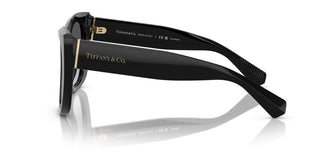 Tiffany & Co. TF 4229 women 0 Cat Eye Sunglasses