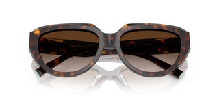 Tiffany & Co. TF 4238U women Havana Cat Eye Sunglasses