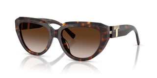 Tiffany & Co. TF 4238U women Havana Cat Eye Sunglasses