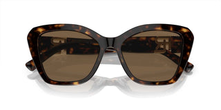 Ralph Lauren THE ISABEL RL 8216U women Havana Butterfly Sunglasses