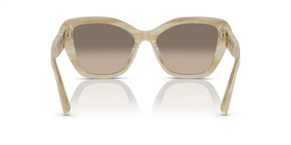 Ralph Lauren THE ISABEL RL 8216U women Brown Butterfly Sunglasses