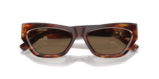 Ralph Lauren THE KIERA RL 8218U women Havana Butterfly Sunglasses