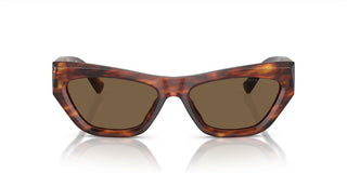 Ralph Lauren THE KIERA RL 8218U women Havana Butterfly Sunglasses