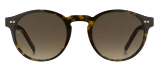 Tommy Hilfiger TH 1795/S men Havana Round Sunglasses