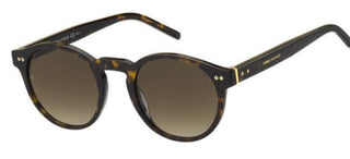 Tommy Hilfiger TH 1795/S men Havana Round Sunglasses