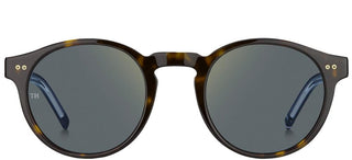 Tommy Hilfiger TH 1795/S men Havana Round Sunglasses