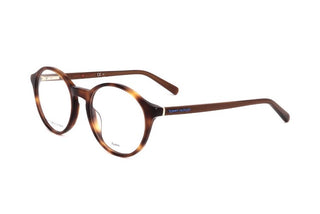 Tommy Hilfiger TH 1841 women Havana Round Eyeglasses
