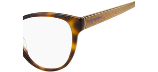 Tommy Hilfiger TH 1842 women Havana Eyeglasses