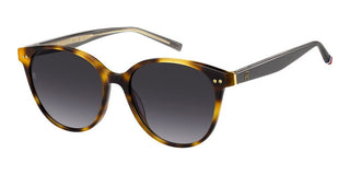 Tommy Hilfiger TH 2289/S women Havana Pantos Sunglasses