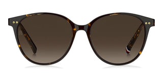 Tommy Hilfiger TH 2289/S women Havana Pantos Sunglasses