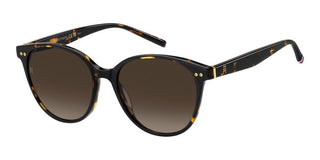 Tommy Hilfiger TH 2289/S women Havana Pantos Sunglasses