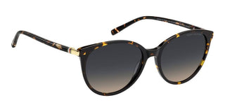 Tommy Hilfiger TH 2350/S women Havana Pantos Sunglasses