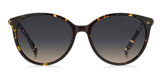 Tommy Hilfiger TH 2350/S women Havana Pantos Sunglasses