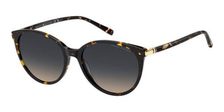 Tommy Hilfiger TH 2350/S women Havana Pantos Sunglasses