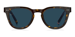 Tommy Hilfiger TH 86/S men Havana Pantos Sunglasses