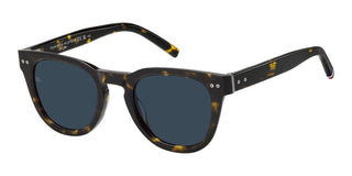 Tommy Hilfiger TH 86/S men Havana Pantos Sunglasses