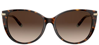 Tiffany & Co. TIFFANY T TF 4178 women Havana Cat Eye Sunglasses