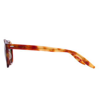 BARTON PERREIRA Tucker Tucker men Havana Geometric Sunglasses