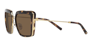 Tory Burch TY 6099 women Brown Geometric Sunglasses