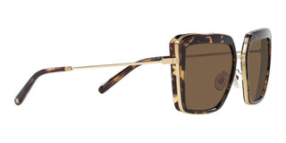 Tory Burch TY 6099 women Brown Geometric Sunglasses
