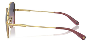 Versace VE 2246D women Gold Oversize Sunglasses