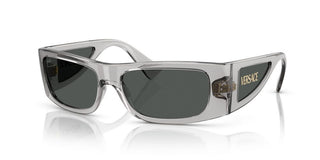 Versace VE 4482 men 0 Sunglasses