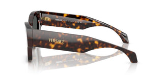 Versace Ve 4492u Women Havana Butterfly Sunglasses