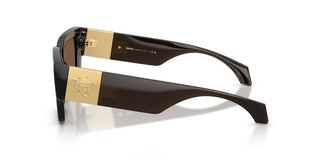 Versace VE 4497U women Brown Geometric Sunglasses