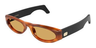 Valentino VG0007S women Havana Oval Sunglasses