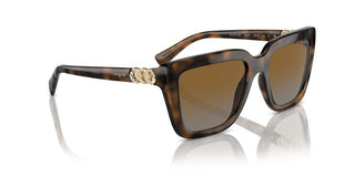 Vogue VO5575SB women Havana Butterfly Sunglasses