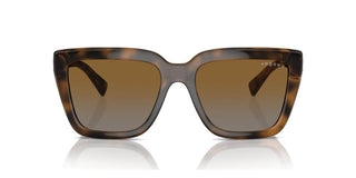 Vogue VO5575SB women Havana Butterfly Sunglasses