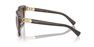 Vogue Vo5575sb Women Brown Butterfly Sunglasses