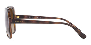 Vogue VO 5488S women Havana Butterfly Sunglasses