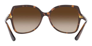 Vogue VO 5488S women Havana Butterfly Sunglasses