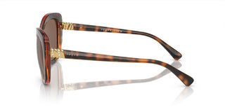 Vogue VO 5515SB women Havana Butterfly Sunglasses
