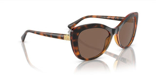 Vogue VO 5515SB women Havana Butterfly Sunglasses