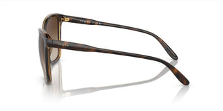 Vogue VO 5520S women Havana Butterfly Sunglasses
