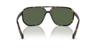 Vogue VO 5531S men Havana Geometric Sunglasses