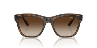 Vogue Vo 5557s Women Havana Pantos Sunglasses