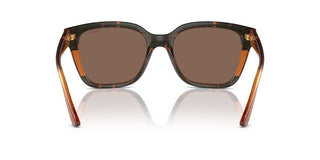 Vogue Vo 5558s Women Havana Squared Sunglasses