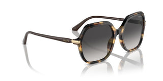 Vogue Vo 5561s Women Havana Geometric Sunglasses