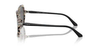 Vogue Vo 5561s Women Havana Geometric Sunglasses