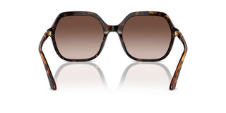 Vogue Vo 5561s Women Havana Geometric Sunglasses