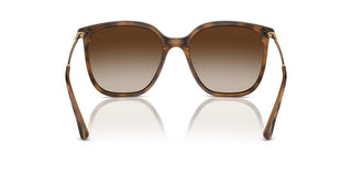 Vogue Vo 5564s Women Havana Squared Sunglasses