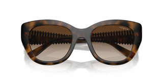 Vogue Vo 5567s Women Havana Butterfly Sunglasses
