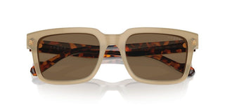 Vogue Vo 5573s Men Havana Squared Sunglasses