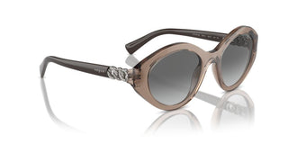 Vogue VO 5576SB women Brown Oval Sunglasses