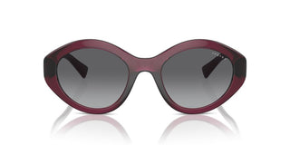 Vogue Vo 5576sb Women Red Oval Sunglasses