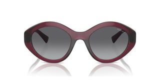 Vogue VO 5576SB women Red Oval Sunglasses