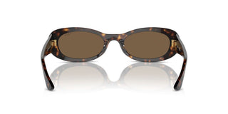 Vogue Vo 5582s Women Havana Oval Sunglasses